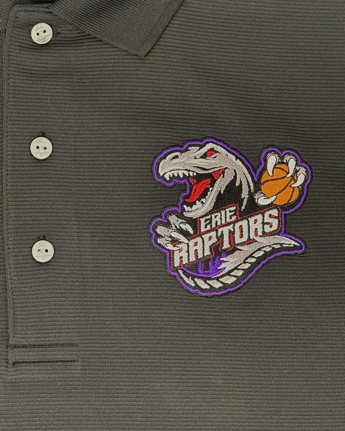 Detailed Erie Raptors logo reproduced in embroidery